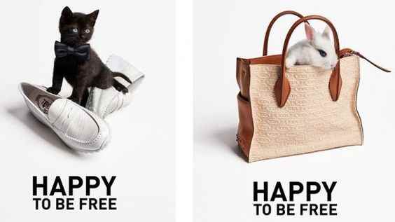 Alber Elbaz X TODS